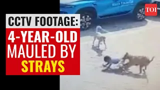 Shocking video from Hyderabad: Toddler mauled to death by stray dogs in Hyderabad