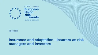 Insurance and adaptation - insurers as risk managers and investors