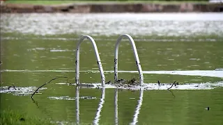 Storms bring flash flooding across the metro