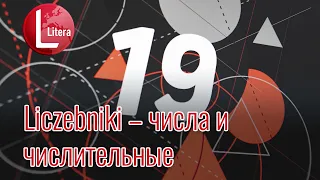 Уроки польского языка | Польские числительные | Как считать до 1000 | Примеры