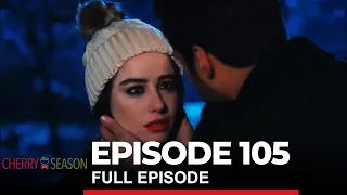 Cherry Season Episode 105