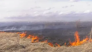 Крупный пал травы в Усть-Абаканском районе - Абакан 24