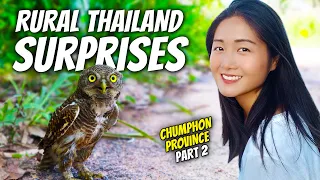 Chumphon Thailand was BETTER than we expected! (we rescued an owl!)