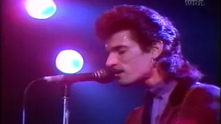 Willy DeVille Mink DeVille ~ Full Concert Live 1981@ Rockpalast in Essen, Germany