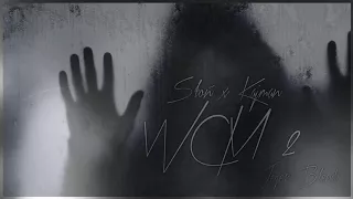 Słoń ft. Kajman - W ch*ju mam 2 /  Prod. Vendetta Beats & Sero / Madness Blend / reupload