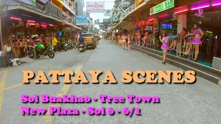Pattaya 4k scenes - Soi Buakhao - Tree Town - Soi New Plaza - Soi 6 - August 2022
