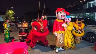 Traditional Double Lion Dance with Choy San Yeh & Buddha
