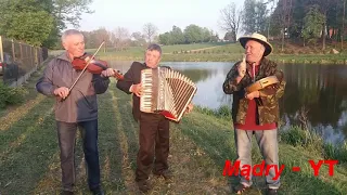 POLKA - Harmonista Zygmunt Kosmala z chłopakami daje czadu ! Gończyce - 2019 r.