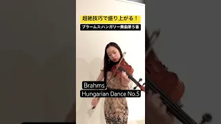 【ブラームス】ハンガリー舞曲第5番Brahms : Hungarian Dance No.5 #shorts #violin #ヴァイオリン