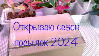 Открываю сезон посылок 2024