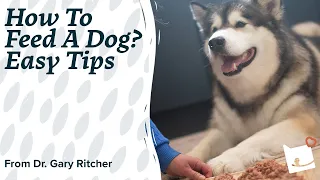 How to Feed a Dog? | Best & Easy Tips by Dr Gary Ritcher