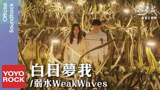 弱水WeakWaves《白日夢我》【白日夢我 You Are Desire OST電視劇青春主題曲】Official Music Video