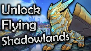 How to fly in Shadowlands - World of Warcraft | Quick Guide