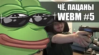 Чё пацаны, WEBM? #5