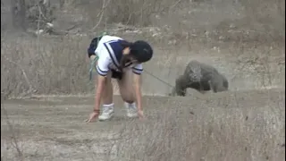 日本女子“挑衅”科莫多巨蜥，挂块生肉吊胃口，结果悲剧了！