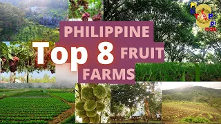 TOP 8 FRUIT FARMS IN THE PHILIPPINES