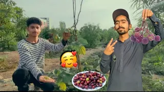 Ajj Lyari Jungle Sa Falsa Torna Chala Gea🥰. || Snow Ki Training ki jaka 😔#TFMIXVLOG