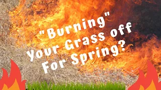 How to burn your lawn