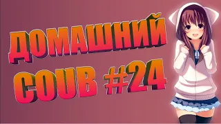 Домашний COUB #24