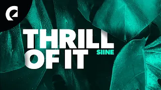 Siine feat. Frank Moody - Thrill Of It