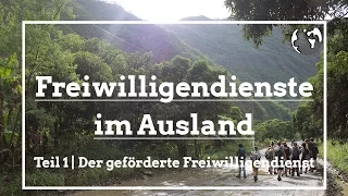 Freiwilligendienste im Ausland | Freiwilligenarbeit.de