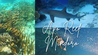 Apo Reef Mindoro | 3 Days in a Secluded Island | Freediving