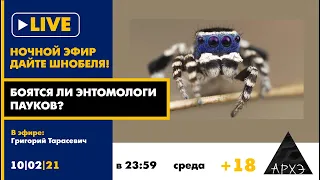 Ночной АРХЭфир "Боятся ли энтомологи пауков?" в рубрике "Дайте Шнобеля! с Григорием Тарасевичем 18+