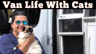 Ep 13 - Van Life With Cats