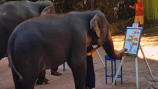 Elephants paint a scenery | Must Watch | BANGKOK SAFARI WORLD | Elephant Show| Thailand| Sightseeing