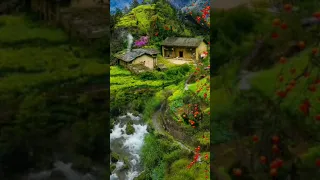 Chinese village  house view #natural #beauty #shorts #snowy #trees #short #video #viral #viralvideo