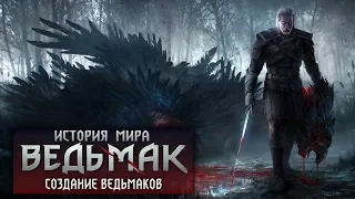 История мира The Witcher: Создание Ведьмаков и новые королевства. Выпуск 6