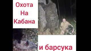 охота на кабана и барсука с Р.Е.Л