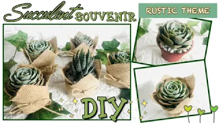 DIY RUSTIC SOUVENIR SUCCULENTS | Mikaela Kay