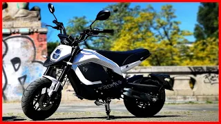 ⚡ Wir testen das KLEINSTE zugelassene E-Moped ⚡Mino vs. Zero #tromox #tromoxmino #emotorrad - TEST!