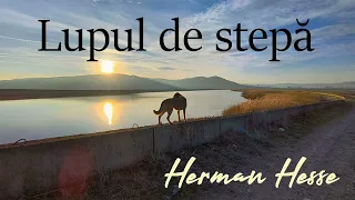 Lupul de stepă de Herman Hesse - Audiobook