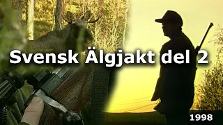 Svensk Älgjakt del 2 (Swedish moose hunting part 2)