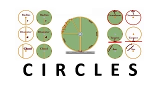 Introduction to Circles | Parts of Circles | Math | LetsTute