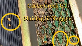 Cache Creek CO: Sluicing Colorado Gold Nuggets with Andrew