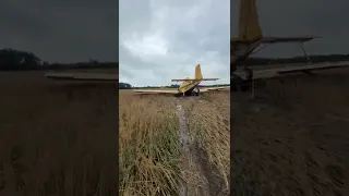 Plane Crash Crystal Michigan