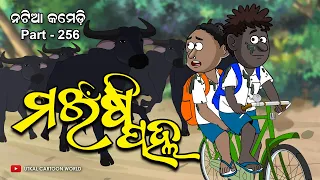 Natia Comedy Part 256 || Mainsi pallha