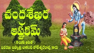 CHANDRASEKHARA ASTAKAM MEANING BY BRAHMASRI CHAGANTI