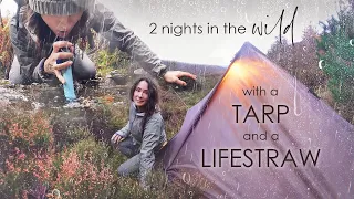 2 Nights Alone in the Wild with a Tarp and a LifeStraw - a lil Wild Camping Adventure in the Forest