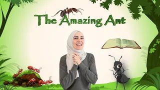 Animals in the Quran:  The Amazing Ant🐜
