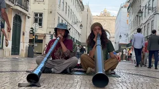 Didgeridoo connection ⎮Yangwood & Shigeki