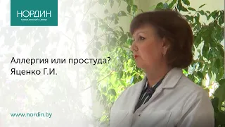 Аллергия или простуда?