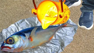 Experiment: Lava vs Fish TUNA