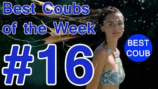 Best Coub of the Week | Лучшие Кубы Недели #16