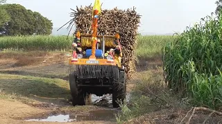 Heavy sugarcaneloaded new Holland 3630 #Tractor video