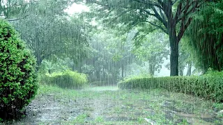 A refreshing video of pouring Heavy rain. Best white noise to clear your complex mind and sleep well