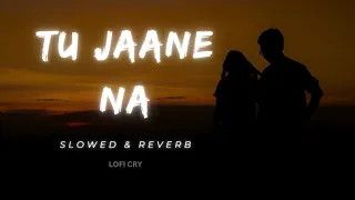 Tu Jaane Na | Atif Aslam | Slowed & Reverb | LOFI CRY